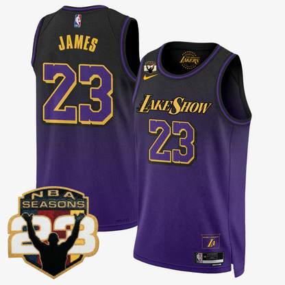 LAL LeBron Jame 23 Seasons Patch Special Jersey - Stitched